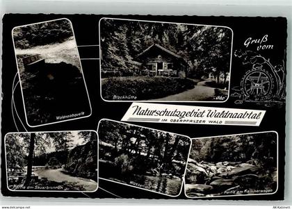 92670 W8486 Windischeschenbach 198' Foto AK Naturschutzgebiet Waldnaabta... - 38088937