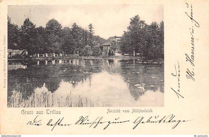 B499 Germany 1904 Gruss aus Trittau Ansicht vom Muehlenteich vintage postcard
