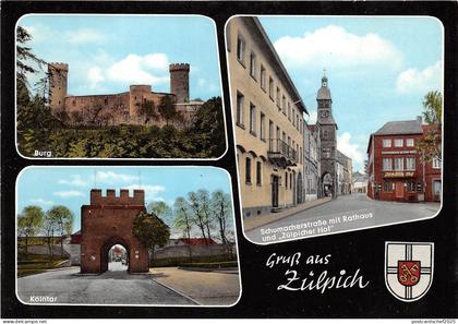 BG6962 gruss aus zulpich heinz pallaschke kolntor germany  CPSM 15x10.5cm