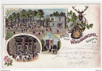 Gößnitz, Lithographie mit Restaurant Waidmannsheil, Winter - Garten und ... - 39021251