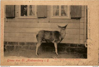 Gruss aus St. Andreasberg
