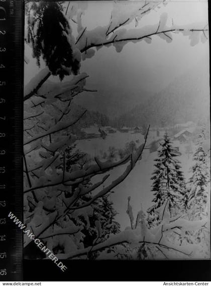 30081319 - St Blasien