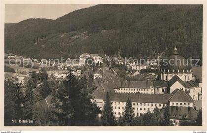 St Blasien Teilansicht