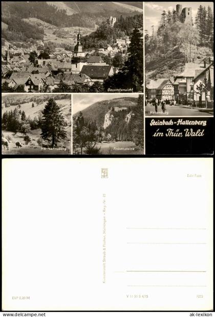 Steinbach-Hallenberg Panorama-Ansicht, Hallenburg, Hermannsberg 1975