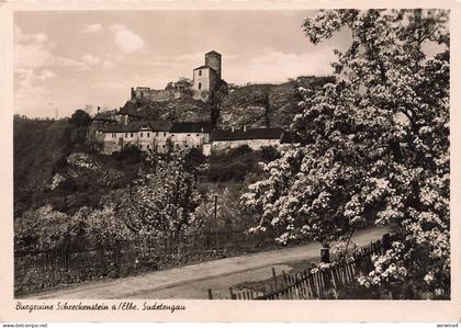 AK Schreckenstein Burgruine Schreckenstein Sudeten ungelaufen Postkarte