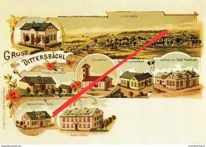 REPRO AK Dittersbächel Detrichovec Gasthof Baude a Heinersdorf Wigandsthal Volkersdorf Neustadt Tafelfichte Isergebirge