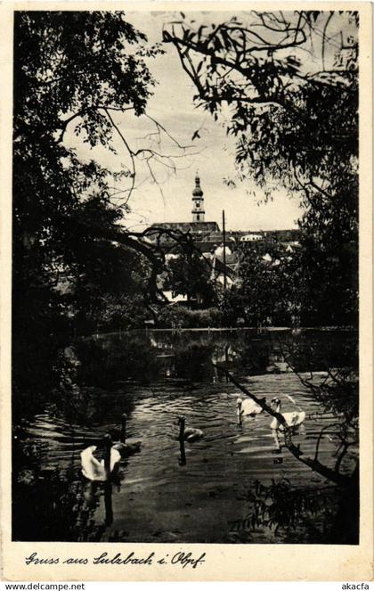 CPA Sulzbach-Rosenberg - Park Scene GERMANY (962659)