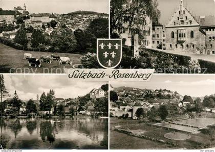 Sulzbach-Rosenberg Schwimmbad Rathaus Panorama