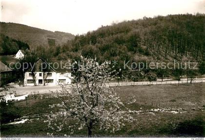 Sundern Sauerland Haus Pingel