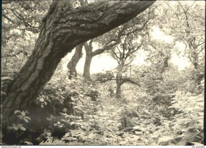 SYLT Insel Schleswig-Holstein Sylt