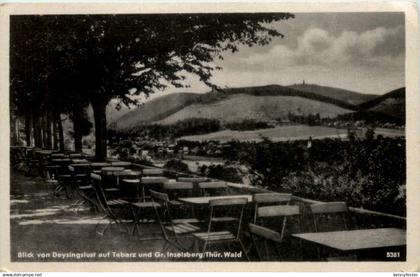 Tabarz, Blick von Deysingslust auf Tabarz und G. Inselsberg