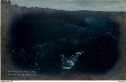 Tambach - Dietharz, Blick in den Spittergrund