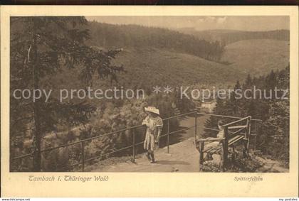 Tambach-Dietharz Spitterfelsen