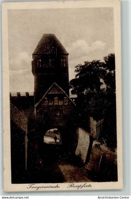 39155837 - Tangermuende