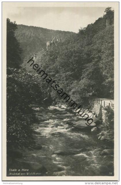 Thale - Bodetal am Waldkater - Foto-AK 30er Jahre - Verlag Photohaus Hermann Leiste Thale