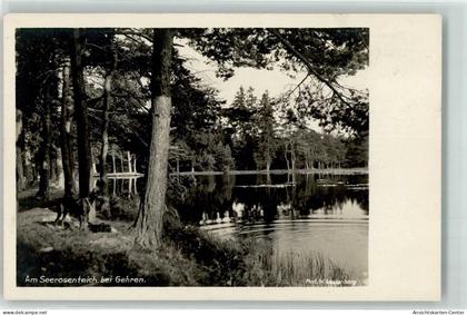 39396880 - Gehren , Thuer