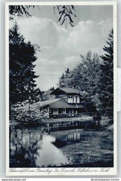 50674665 - Schmiedefeld am Rennsteig