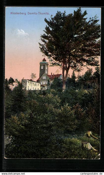 AK Demitz-Thumitz, Blick zum Klosterberg