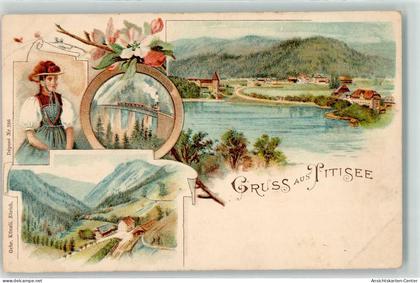 13445257 - Titisee Titisee-Neustadt