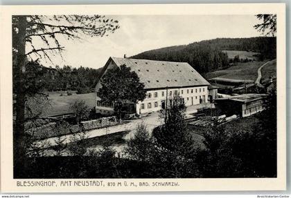 13981313 - Neustadt Titisee-Neustadt