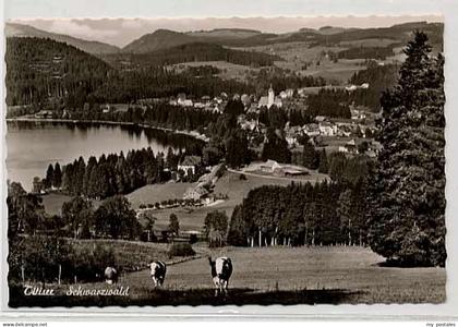 Titisee-Neustadt Titisee Neustadt