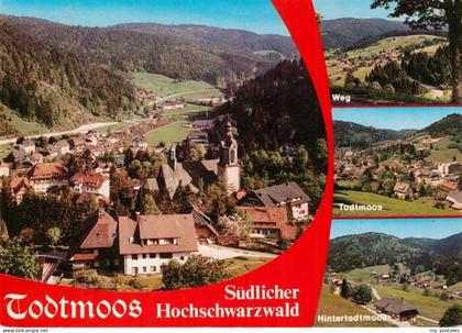 Todtmoos Schwarzwald BW Panorama Weg Todtmoos Hintertodtmoos