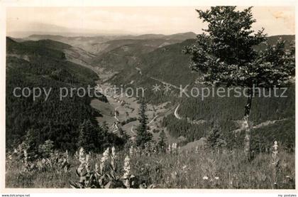Fahl Feldberg Blick vom Feldberg