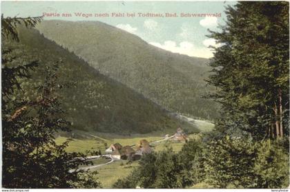 Weg von Fahl bei Todtnau