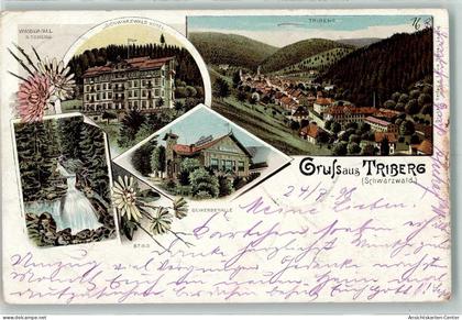 13134250 - Triberg im Schwarzwald