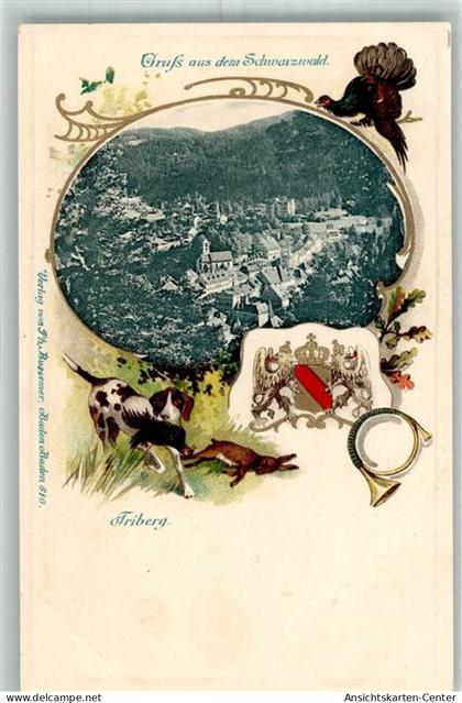13307138 - Triberg im Schwarzwald