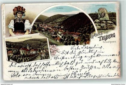 13917269 - Triberg im Schwarzwald
