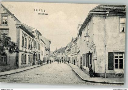 13537677 - Triptis