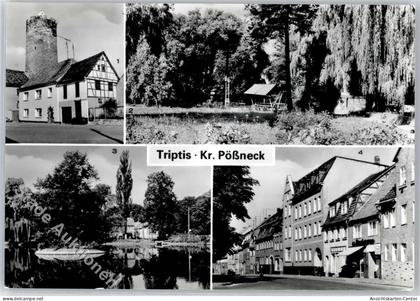 51258516 - Triptis