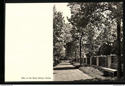 AK Trossingen, Allee in der Ernst Hohner Strasse
