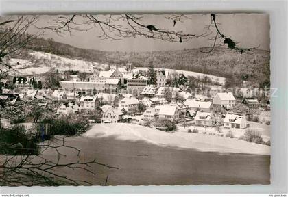 Bebenhausen Tuebingen Winterlandschaft