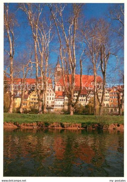 Tuebingen Platanenallee