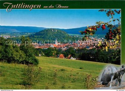 Tuttlingen Panorama Burg