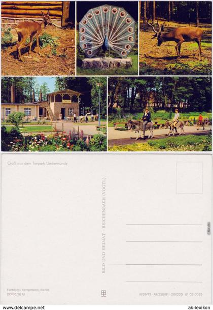 Ueckermünde Tierpark Ueckermünde Ansichtskarte 1981
