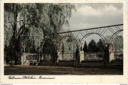 Uetersen, Rosarium