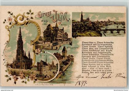 13107351 - Ulm , Donau