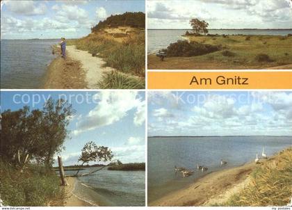 Usedom Am Gnitz