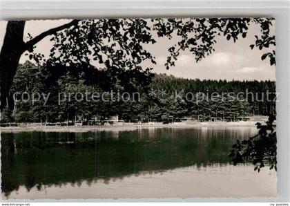 Usingen Hattstein Weiher Schwimmbad