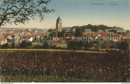 Usingen Stadtblick