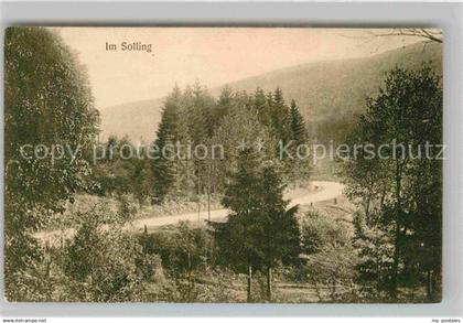 Uslar Solling Forst Panorama