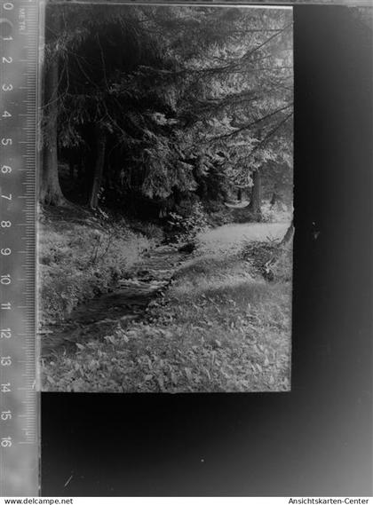 30060418 - Waldbroel