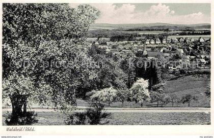 Waldbroel Panorama Baumbluete