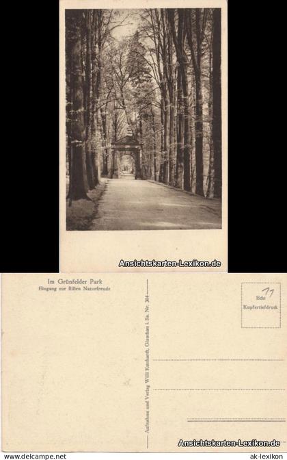 Ansichtskarte Waldenburg (Sachsen) Im Grünfelder Park 1922