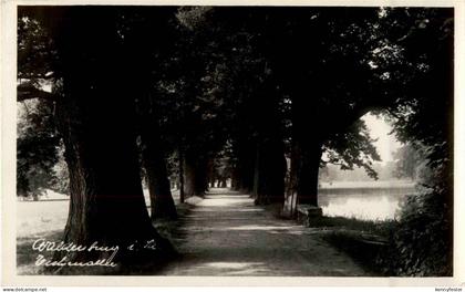 Waldenburg - Eichenallee