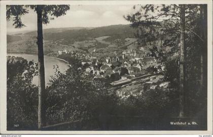 Waldshut Tiengen Rhein am Rhein