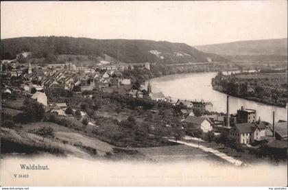 Waldshut Tiengen Rhein Totalansicht